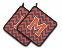 Carolines Treasures CJ1042-MPTHD Letter M Chevron Orange and Blue Pair of Pot H