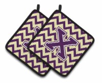 Carolines Treasures  CJ1058-XPTHD Letter X Chevron Purple and Gold Pair of Pot H