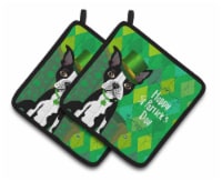 Carolines Treasures VHA3006PTHD St Patrick's Day Boston Terrier Pair of Pot Hol