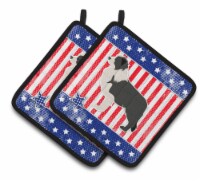 Carolines Treasures  BB3323PTHD USA Patriotic Black Border Collie Pair of Pot Ho