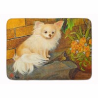 Carolines Treasures MH1053RUG Chihuahua Just Basking Machine Washable Memory Fo