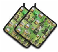 Carolines Treasures BB5757PTHD Irish Whiskey Pair of Pot Holders