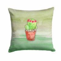 Carolines Treasures BB7364PW1414 Cactus Green Watercolor Fabric Decorative Pill