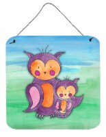 Carolines Treasures  BB7430DS66 Momma and Baby Owl Watercolor Wall or Door Hangi