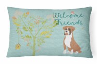 Welcome Friends Flashy Fawn Boxer Canvas Fabric Decorative Pillow