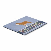 Carolines Treasures BB8349MP Mastin Epanol Spanish Mastiff Mouse Pad, Hot Pad Or Trivet Perspective: Main