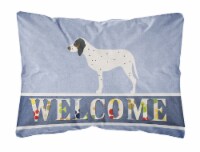 Gascon Saintongeois Welcome Canvas Fabric Decorative Pillow, Blue