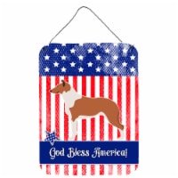 Carolines Treasures BB8423DS1216 Smooth Rough American Wall or Door Hanging Pri