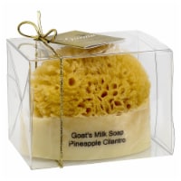 Gracian Goats Milk SS-18 Goats Milk Soap with Sponge - Pineapple Cilantro