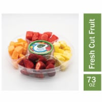 Fresh Cut Fruit Large Party Tray with Dip