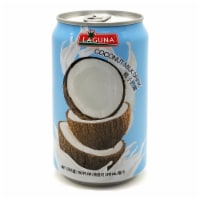 Laguna Coconut Milk Drink Perspective: Main
