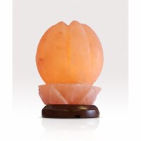 Closed Bud Himalayan Salt Lamp