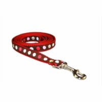 Sassy Dog Wear POLKA DOT-BRN-MULTI2-L 4 ft. Dot Dog Leash- Brown & Multi - Small