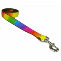 Sassy Dog Wear RAINBOW4-L 6 ft. Dog Leash- Rainbow - Large