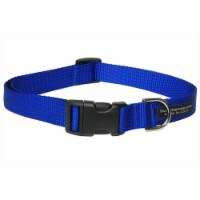 Sassy Dog Wear SOLID BLUE LG-C Nylon Webbing Dog Collar- Blue - Large