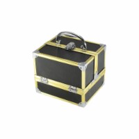 TZ Case AB-14 GBD Compact Makeup Case  Gold Black Dot