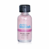 Bye Bye Blemish® Drying Lotion