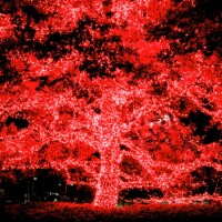 Solar String Lights 36 FT Waterproof Red Solar Xmas Lights Outdoor Tree Yard