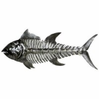 Croix des Bouquets Fish Bones Metal Art