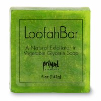 Primal Elements Juicy Kiwi Loofah Bar Soap Perspective: Main