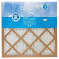 Protect Plus Industries PRO224242 24 x 24 x 2 in. Air Filter, Blue