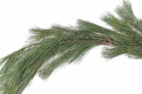 Garden Elements Fresh Holiday White Pine Rope Christmas Garland Decoration, 75'