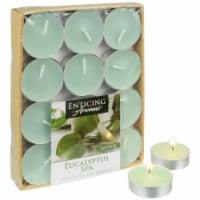 Enticing Aromas Eucalyptus Spa Scented Tea Light Candles - Green