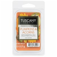 Tuscany Candle Limited Edition Pumpkin & Acorns Wax Melts Perspective: Main