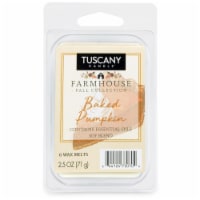 Tuscany Limited Edition Scented Wax Cubes - Baked Pumpkin - 6 pk Perspective: Main