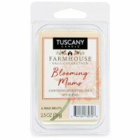 Tuscany Farmhouse Collection Blooming Mums Wax Melt Perspective: Main