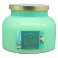 Tradewind Fragrances Limited Edition Scented Jar Candle - Citrus Sea Mist Perspective: Main