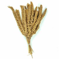 A&E Cage ZVP-2004 22 lbs European Millet Spray
