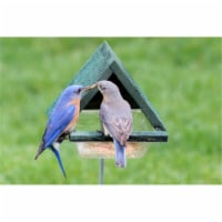 Songbird Essentials Multi-Purpose Chalet with Stake