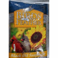 Songbird Essentials SESEED139GC 20 lbs Oil Sunflower Bird Seed  Black