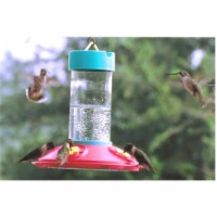 Songbird Essentials SE6006 Dr. JB's Clean Hummingbird Feeder