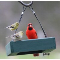 Backyard Electric Power BE143 Petite Green Hanging Tray Feeder
