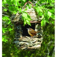 Songbird Essentials SE939 Acorn Hanging Roosting House