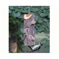 Songbird Essentials SESCS408 3 Plug Suet Log With Out Perches