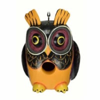 Songbird Essentials SE3880215 Fall Colors Owl Gord-O Birdhouse