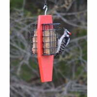 Songbird Essentials SERUBDSFR Dual Suet Bird Feeder, Red