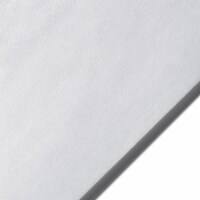 Legion Paper - Masa Sheet - 9  x 12