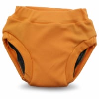 Ecoposh OBV Training Pants | Saffron (Yellow) Small 1T/2T