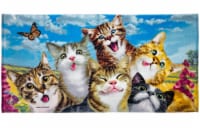 Cats Selfie