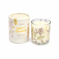 Foundry Candle Spiced Chestnut Candle Perspective: Main