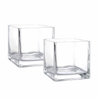 WHOLE HOUSEWARES 4 Inch Square Glass Cube Vase