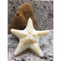 Greciansoap STF 3.5 oz Starfish Soap