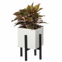 Indoor and Outdoor White Iron Planting Box with Black Wooden Frame Large