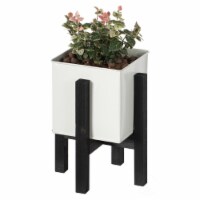 Indoor and Outdoor White Iron Planting Box with Black Wooden Frame Small