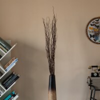 Natural Decorative Dry Branches Authentic Willow Sticks for Home Decoration and Wedding Craft
