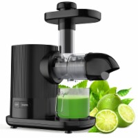 Gymax Horizontal Juicer Machine Cold Press Slow Masticating Juice Extractor Black